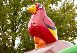 Inflatable slide combo pirate-themed bouncer for sale at JB Inflatables UK. Buy inflatable bouncers with slide for kids