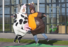 Buy inflatable sumo suits in the Cow & Bull theme for both young and old. Order inflatables online at JB Inflatables UK