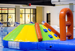 Get an inflatable dolphin-themed slide for both young and old. Order inflatable pool games now online at JB Inflatables UK