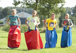 Get red and blue sack race bags for both old and young online now. Buy inflatable items online at JB Inflatables UK