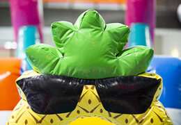 Flamingo Run obstacle course in a unique design for both young and old. Buy inflatable pool obstacle courses online now at JB Inflatables UK