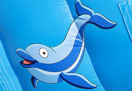 Get your inflatable dolphin slide with the cheerful colors, 3D objects and fun print on the side wall for children. Order inflatable slides at JB Inflatables UK