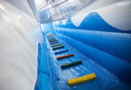 Perfect dolphin themed inflatable slide with 3D objects to order for kids. Buy inflatable slides now online at JB Inflatables UK