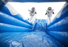 Get your inflatable dolphin slide with the cheerful colors, 3D objects and fun print on the side wall online now. Order inflatable slides at JB Inflatables UK