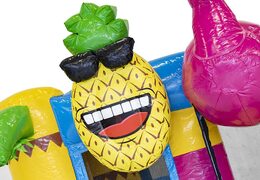 Order mini multiplay inflatable bounce house in theme flamingo with slide for children. Inflatable bounce houses with slide for sale at JB Inflatables UK