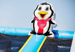 Inflatable bouncer in the Frozen theme with slides and fun obstacles with prints for children. Buy bouncers online at JB Inflatables UK