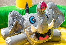 Buy a playzone jungle-themed bouncer with plastic balls and 3D objects for kids. Order bouncers online at JB Inflatables UK