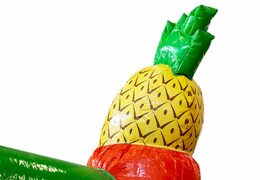 Buy covered slidebox Hawaii bounce house with slide for kids. Order bounce houses online at JB Inflatables UK