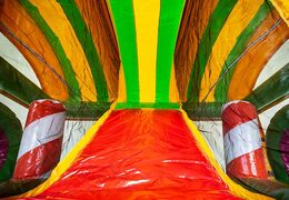 Multiplay XXL Jungleworld bouncy castle in a unique design with two entrances, a slide in the middle and 3D objects for children to order. Buy bouncy castles online at JB Inflatables UK