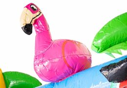 Opblaasbaar Multi Splash Bounce Flamingo springkasteel met zwembadje bestellen in thema flamingo voor kids bij JB Inflatables