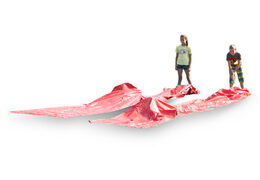 Order red crawl tunnel for both old and young. Buy inflatable items online at JB Inflatables UK