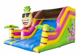 Buy inflatable compact slide air cushion in Hawaii theme with palm trees for children