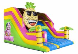 Order inflatable compact slide air cushion in Hawaii theme with palm trees for children