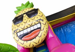 Buy inflatable compact slide bouncy castle for kids in hawaii theme