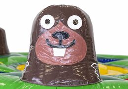 Opblaasbaar Whack a Mole spel kopen voor kids in thema mol slaan bij JB Inflatables