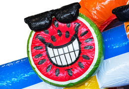 Order inflatable Mini Multiplay bouncy castle in theme Flamingo for children. Buy inflatable bouncy castles at JB Inflatables UK