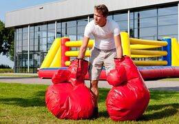 Mega boxing gloves for fun game