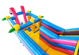 Order multi-purpose bouncy castle with bath and multiplay options online