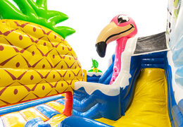 Slide from bounce house Slideworld in Hawaii theme
