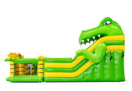 Side view of 4 in 1 multiplay slide in dino theme with play module