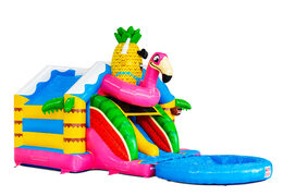 Buy a Slide Combo inflatable castle online with 3D figures and a slide