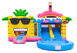 Buy Multiplay inflatable castle online with 3D figures and slide