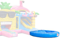 Buy online pool for double slide bouncy castles