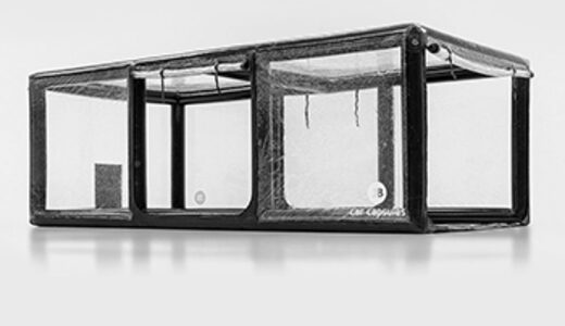 Buy JB Showcase inflatable to use vehicles