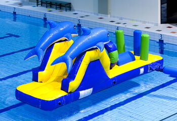 Buy an inflatable dolphin run slide with fun objects for both young and old. Order inflatable water attractions now online at JB Inflatables UK