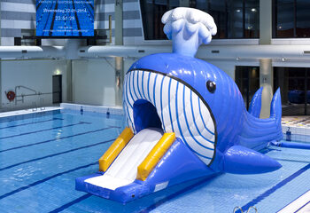 Buy whale-themed airtight Obstacle Run with challenging obstacle objects for children. Order inflatable obstacle courses online now at JB Inflatables UK