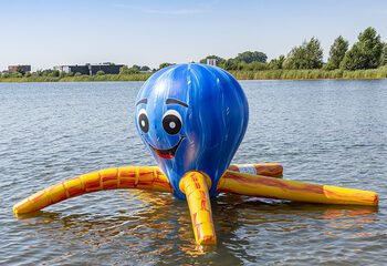 jb waterplay elementen octopus
