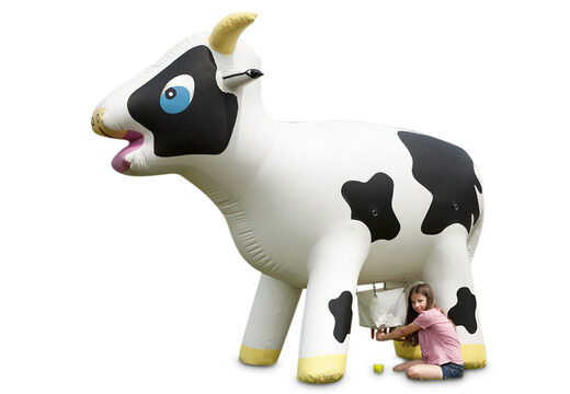 Limonade Koe Opblaasbaar