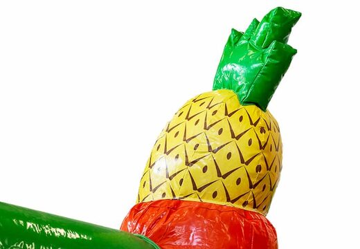 Buy covered slidebox Hawaii bounce house with slide for kids. Order bounce houses online at JB Inflatables UK