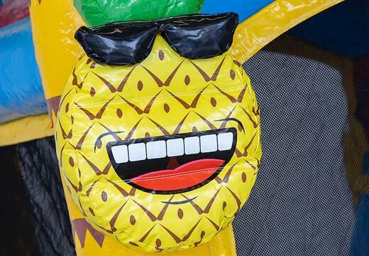 Opblaasbaar Jumpy Happy Splash roze luchtkussen met bad te koop in thema flamingo voor kinderen bij JB Inflatables