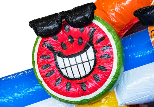 Order inflatable Mini Multiplay bouncy castle in theme Flamingo for children. Buy inflatable bouncy castles at JB Inflatables UK