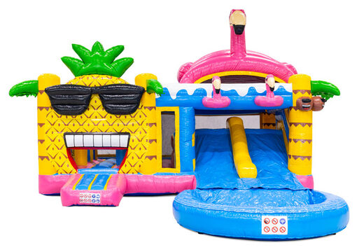 Buy Multiplay inflatable castle online with 3D figures and slide