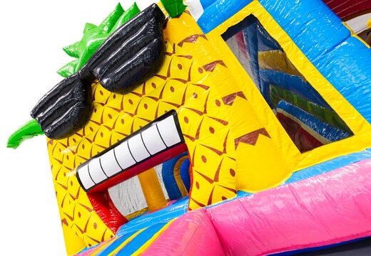 Order online bouncy castle with Hawaii flamingo theme and cheerful 3D pineapple with sunglasses